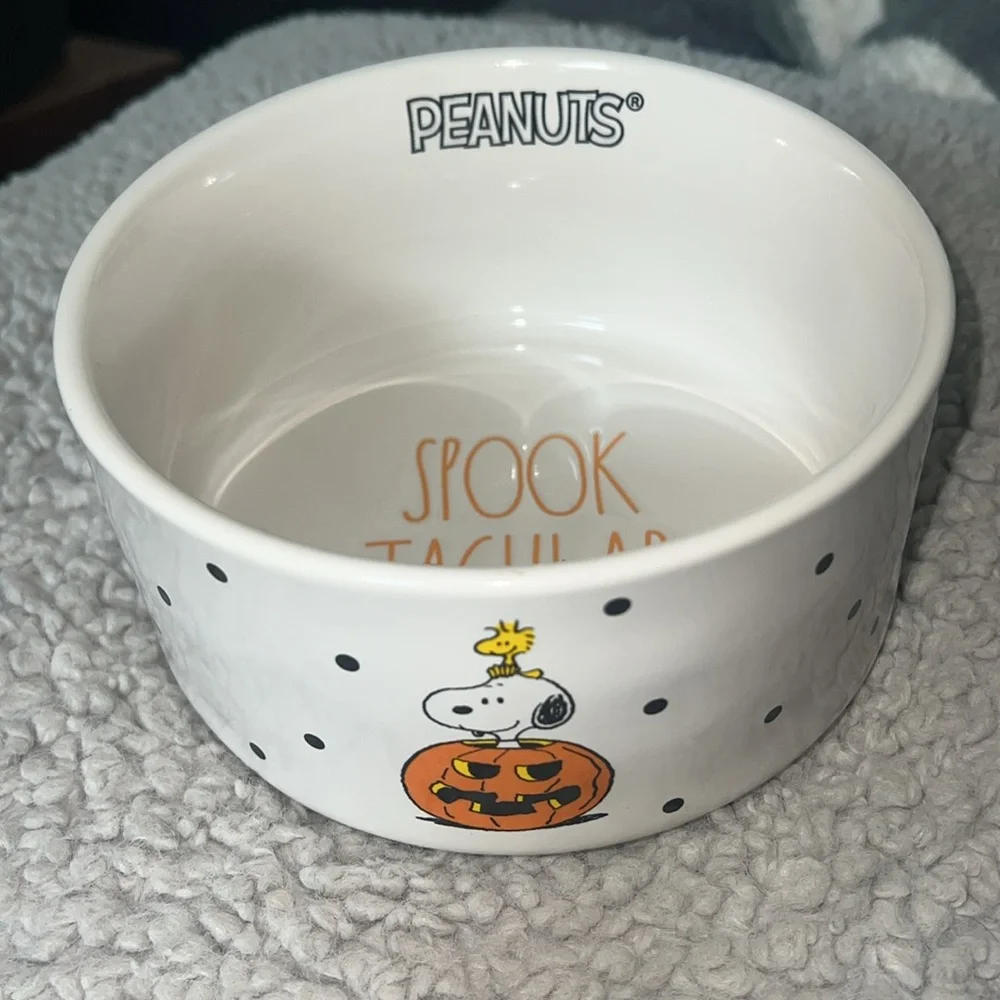New Rae Dunn Halloween peanuts snoopy dog food bowl